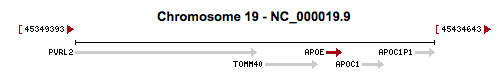 Genome position of APOE gene (from NCBI)