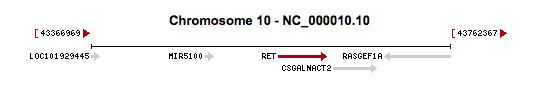 Genome location of RET gene (from NCBI)